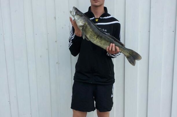 Erfolg auf Raubfisch