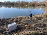 Kippen am Weiher
