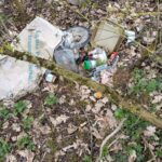 WhatsApp Image 2026 03 26 at 15.36.55