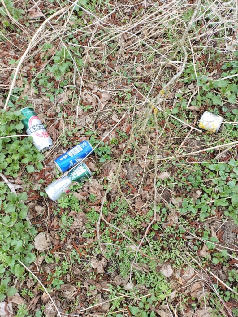 Ein Negativbeispiel: Müll am Gewässer hinterlassen 2 WhatsApp Image 2026 03 26 at 15.36.55 2